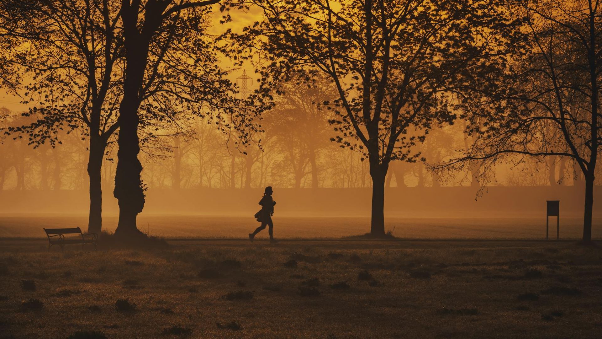 Person running in a green park during sunrise with soft light.